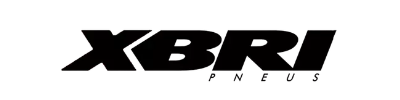 XBRI
